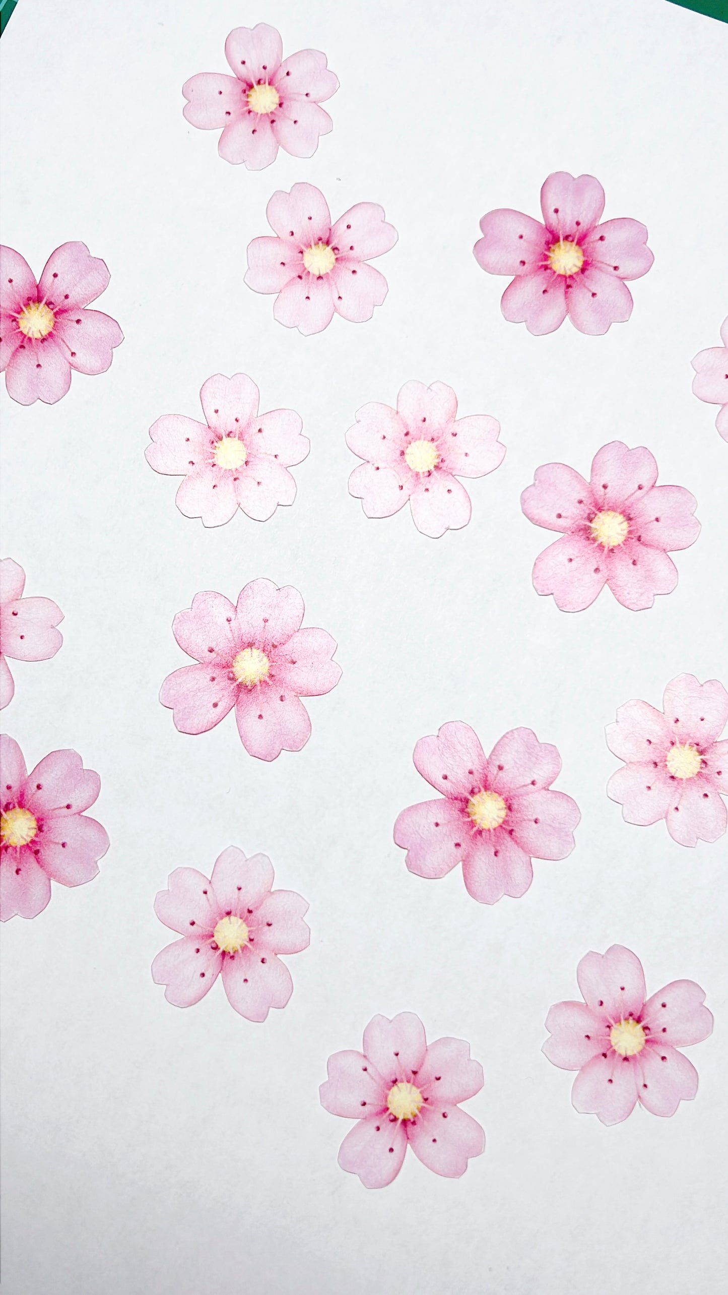 Cherry Blossom Brooch