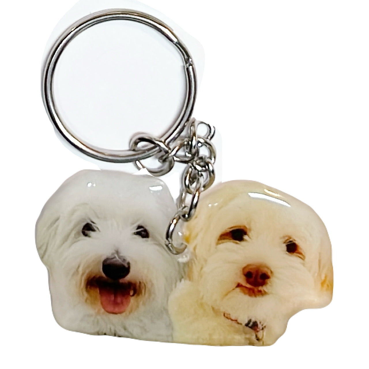 (🐾) Custom Pet Portrait - Keychain