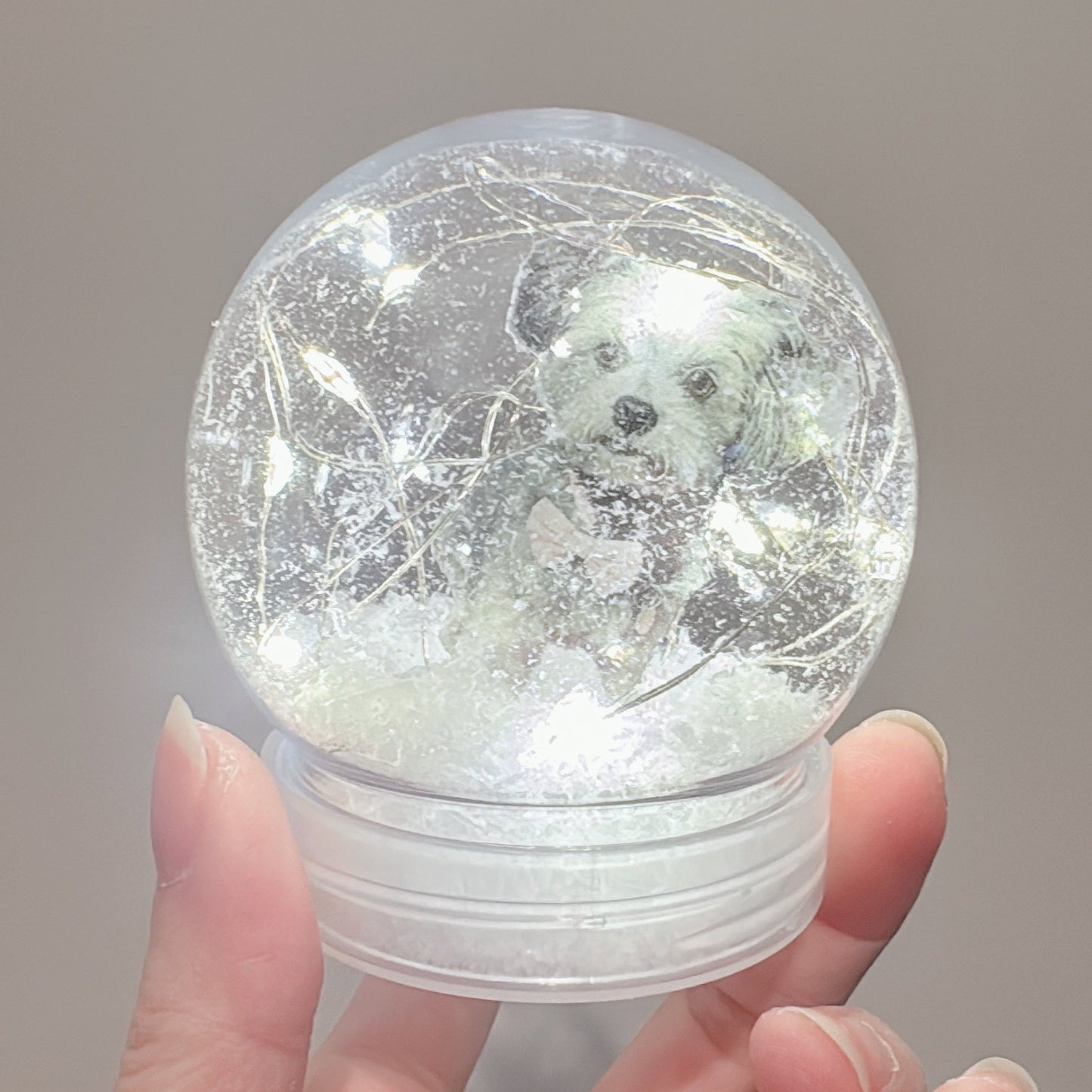 (🐾) Custom Pet Portrait LED Snow Globe (email to inquire)