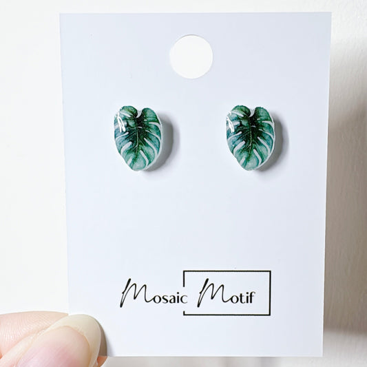 Plant Lover stud earrings (multiple styles)