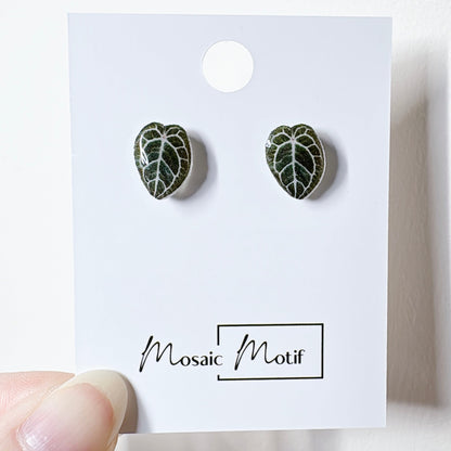 Plant Lover stud earrings (multiple styles)