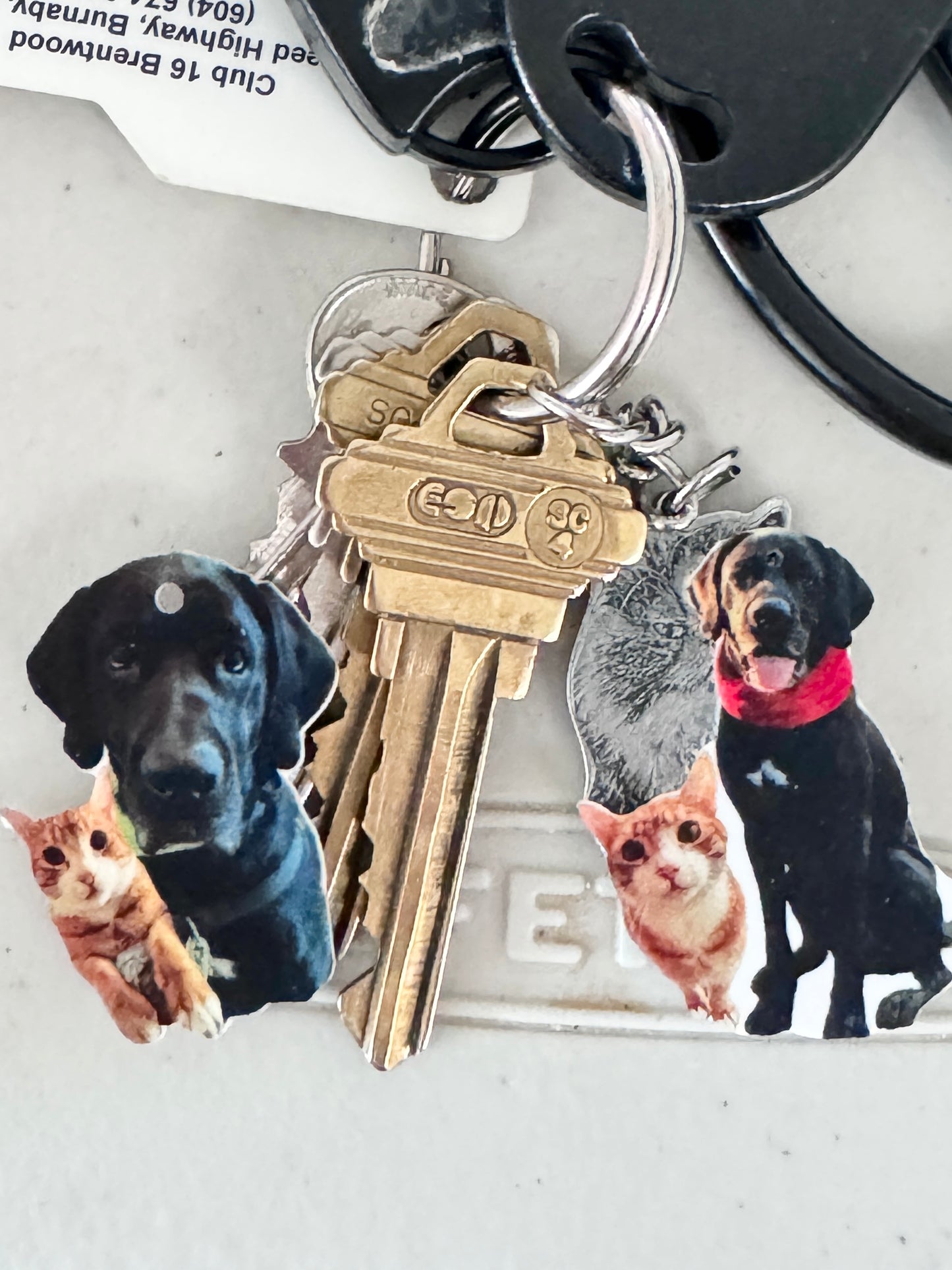 (🐾) Custom Pet Portrait - Keychain