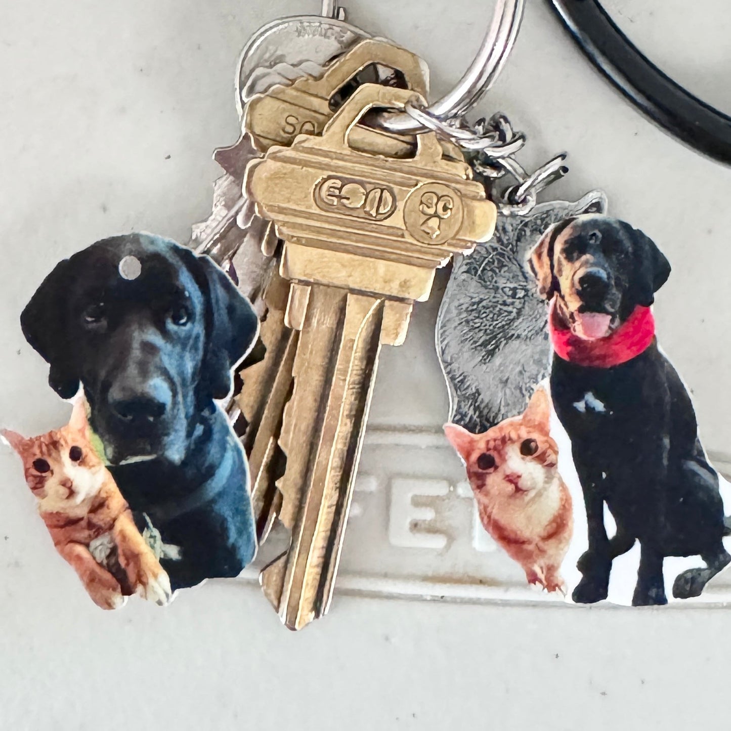 (🐾) Custom Pet Portrait - Keychain