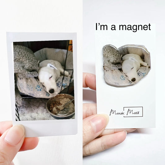 (🐾) Custom Pet Portrait - Small Magnet