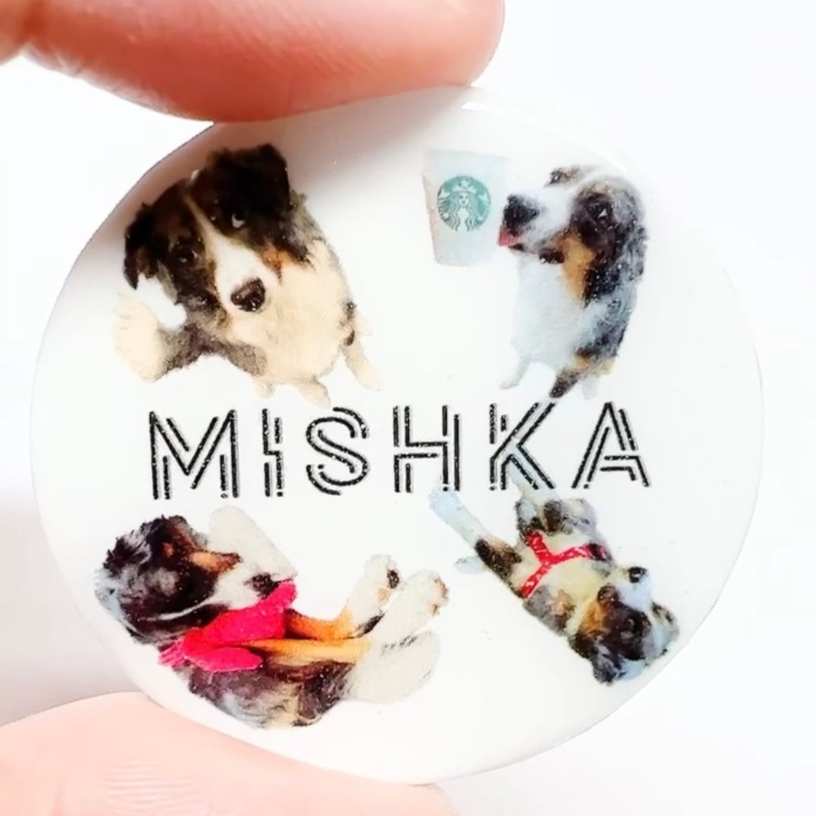 (🐾) Custom Pet Portrait - Small Magnet